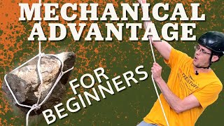 How to Use Mechanical Advantage to Pull Trees and Lift Logs [upl. by Monica176]