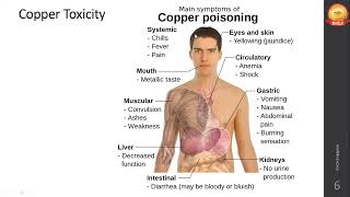 Microminerals Zinc Selenium Copper Fluorine Chromium  Oct 2023 [upl. by Wahkuna463]