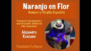 Naranjo en Flor Playback en Fa Mayor videoKaraoke legendado en Español por Alejandro Roseano [upl. by Lovato]