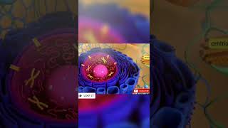 Cell organelles  BiologyWithAvneeshSir  neet biology like subscribe shorts [upl. by Aineval]