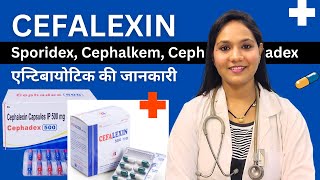 Cephalexin Capsule किस काम आता है  Sporidex Cephadex Cephaxin Cephalkem  Antibiotic [upl. by Zaneta]