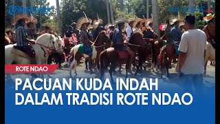 Pagelaran Budaya Hus dengan Pacuan Kuda Indah dalam Tradisi Rote Ndao [upl. by Randa]