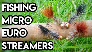 MICRO Streamer Fishing For Trout Using Euro Rig [upl. by Acker]