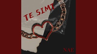 TE SIMT [upl. by Notned]