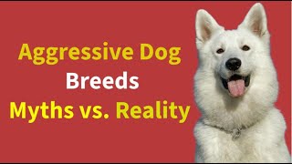 Understanding Aggressive Dog Breeds [upl. by Vevine]