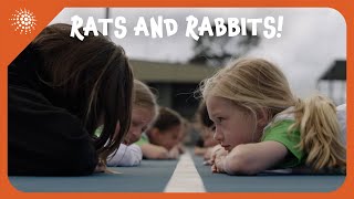 Rats and Rabbits  Netball Drills Ep1 [upl. by Barbee992]