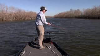 Fishing Out of the Ranger Boats RT178 [upl. by Hsirehc]