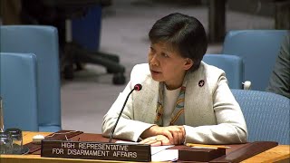 The value of disarmament arms control and nonproliferation  Security Council Briefing [upl. by Herrera]