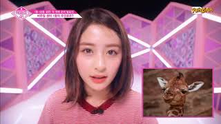 ENG Produce 48  Visual Center Is Mine Top 4 [upl. by Schoenburg]