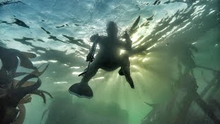 EP 9  Tietiesbaai 9m Spearfishing for hottentot  West Coast [upl. by Cavuoto871]