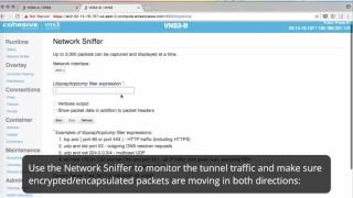 How do I use the Network Sniffer [upl. by Aynnat]