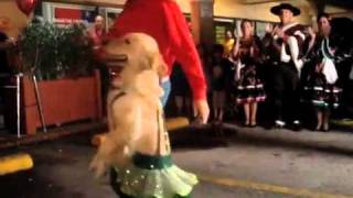 Schlachthofbronx quotChambacuquot Dancing Dog Music Video [upl. by Naitsirt]