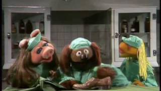 The Muppet Show Veterinarians Hospital  Shoe [upl. by Seltzer]