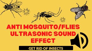 Anti Mosquito Ultrasonic Sound Effect Get Rid of Insects [upl. by Yesnil]