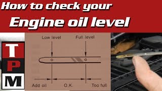 How To Check Your Engine Oil  Hyundai [upl. by Aissirac]