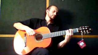 ALHAMBRA 4F  Flamenco Gitarre [upl. by Faden]