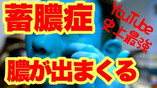 【スッキリする映像】YouTube史上、最も蓄膿症の膿が出た動画！その方法とは？ [upl. by Alberto]