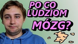 Po Co Ludziom Mózg  Okruchy Ogarniętości [upl. by Iv]