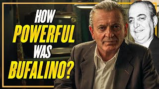 The Truth Behind Bufalino’s Crime Empire In The Irishman [upl. by Hayikaz]