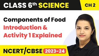 Class 6 Science Chapter 2  Components of Food  Introduction and Activity 1 Explained [upl. by Buiron493]