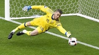 Best Goalkeeper Saves ● Euro 2016 [upl. by Mou]