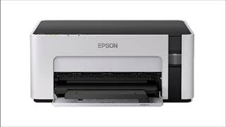 How to Reset Epson M1120 Printer [upl. by Aluap]