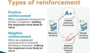 Operant Conditioning Positive and Negative Reinforcement and Punishment [upl. by Aara]