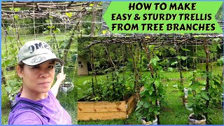 How to Make an Easy Sturdy Trellis Using Tree Branches for your Garden [upl. by Whalen580]