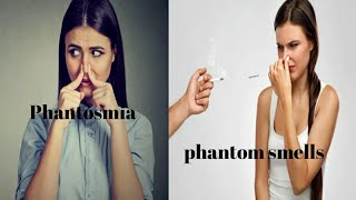 How to get rid from phantom smells  what causesPhantosmia Homeremedies English subtitle [upl. by Clevie]