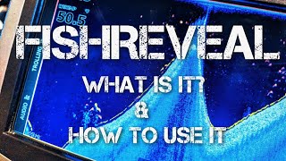 Lowrance FishReveal  How to use it [upl. by Matt216]