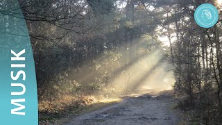 Segne uns – Chormusik und Naturaufnahmen – von Bruno GröningFreunden [upl. by Atrice]