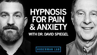 Dr David Spiegel Using Hypnosis to Enhance Health amp Performance [upl. by Annaeirb323]