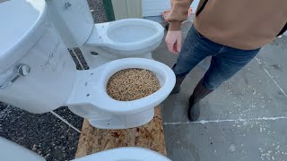 What toilet should I buy 3 different brands compared [upl. by Annoved]