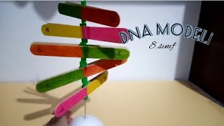 DNA Modeli Yapımı [upl. by Anirtep]