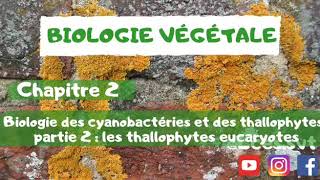 Biologie végétale chapitre 2  Biologie des cyanobactéries et des thallophytes   les thallophytes [upl. by Keever]