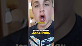 Joe Rogans Harsh Critique of Jake Paul 😬 [upl. by Padget905]