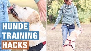 Hund beschäftigen  HUNDE GEISTIG AUSLASTEN  HUNDETRAINING HACKS  Hundeerziehung [upl. by Airegin]