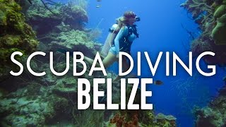 Scuba Diving The Blue Hole and Barrier Reef in Belize [upl. by Sire927]