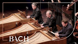 Bach  Concerto for three harpsichords in D minor BWV 1063  Mortensen  Netherlands Bach Society [upl. by Quenna]