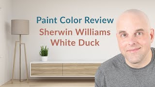 Sherwin Williams White Duck Color Review [upl. by Yeldar]