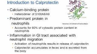 Calprotectin and Inflammatory Bowel Disease Hot Topic [upl. by Lav765]