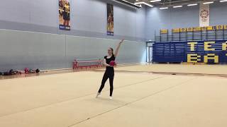 Set Ball Routine  Level 1 Rhythmic Gymnastics [upl. by Hansel831]