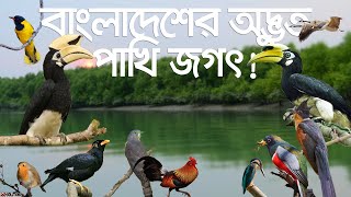 Bondhu Kaliya Aisho Bondhu  বন্ধু কালিয়া আইসো বন্ধু  Rinku রিংকু  Folk Song  Banglavision [upl. by Airasor751]