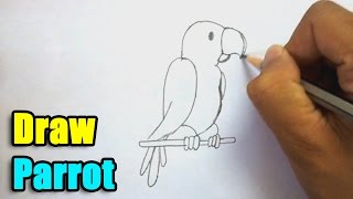 How to Draw Parrot [upl. by Diarmuid]