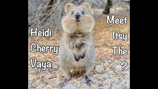 Fun Bedtime Story For Kids  Heidi Cherry amp Vaya Meet Itsy The [upl. by Pickford503]