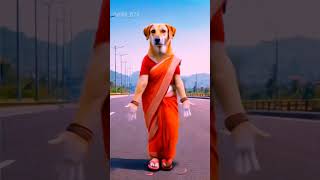 Dog Dance  puppy video dog dogdance doglover puppy puppie lovedog animals [upl. by Durrej]