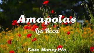 Amapolas  Leo Rizzi Letra [upl. by Hulen844]