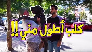 I saw a 6 ft dog ll مصاريف و شفت كلب اطول مني [upl. by Ursal]