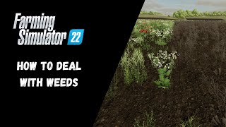 FS22  How To Deal With Weeds  Farming Simulator 22 [upl. by Ahsinav]