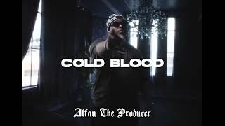 BlueBucksClan x Type Beat  quot Cold Blood West Coast Hip Hop Rap instrumental [upl. by Ocicnarf]